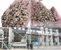 10 T Planta de procesamiento de granos de café verde Línea de producción de granos de café Máquina de clasificación y limpieza de granos