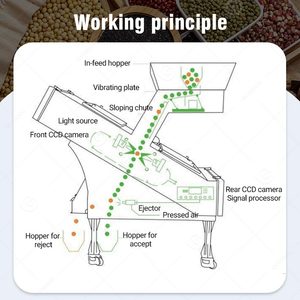 Machine de tri chromatique pour légumineuses, fruits, graines de citrouille, riz et haricots, capacité 500 kg/h - Product Image 3