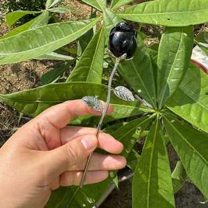 ดอกกุหลาบคริสตัลแกะสลักขนาด 3 ซม. สีเงิน ประดับคริสตัลไอน้ำ หินคริสตัลธรรมชาติบำบัด แกะสลักคริสตัลรูปดอกกุหลาบวาเลนไทน์ - Product Image 4