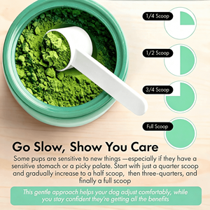 ผงดูแลสุขภาพฟันสุนัขและแมว OEM/ODM พร้อมวิตามินเสริมภูมิคุ้มกัน ไม่ต้องใช้แปรง - Product Image 3