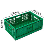 Caisse de transport pliable et empilable en plastique pour l'agriculture, les légumes, les fruits et les produits de la mer, en PP rectangulaire