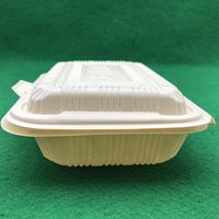 Échantillon Gratuit : Boîte à Déjeuner Blanche Biodégradable et Recyclable à Deux Compartiments, Idéale pour Sushi, Nouilles, Chewing-gum, Sucre, Jus