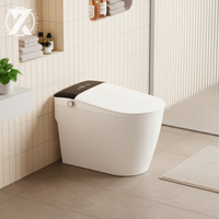 Toilette intelligente avec lumière nocturne, usage commercial et résidentiel, fournisseur en gros, conception économisant l'eau, nettoyage à l'eau chaude, installation facile
