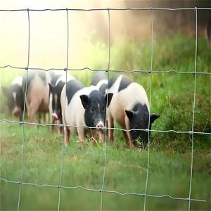 Clôture en grillage galvanisé pour bétail, vente en gros, 1,2 à 1,8 mètres de haut, pour les pâturages, les cerfs et les ranchs bovins - Product Image 6