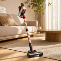 Aspirateur sans fil 150W 12000Pa, filtration multicyclonique avec réservoir de poussière de 900 ml pour le nettoyage quotidien des sols CE FCC