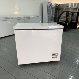 <span class=keywords><strong>Congélateur</strong></span> <span class=keywords><strong>horizontal</strong></span> commercial de bonne qualité, petit et profond - Product Image 3