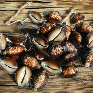 200G de Conchas de Cauri Naturales Pulimentadas en Forma de Flor y de Diferentes Tamaños para Diseñadores de Joyería y Decoración - Product Image 2
