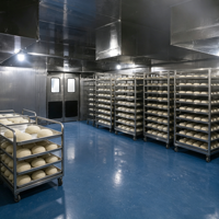 Chambre de Fermentation Industrielle sur Mesure pour Pâte à Pain, Chambre de Maturation et de Retardement de la Fermentation du Pain à Vendre
