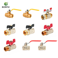 Válvula de bola de latón Bornic 3/8-8 con rosca macho neumática y conector de púas PEX MIP FIP, válvula de agua hembra, OEM personalizable