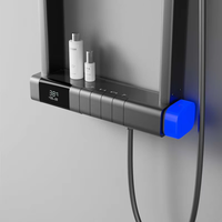 Ensemble de douche thermostatique de luxe pour spa - Acier inoxydable poli, mitigeur simple, pommeau de pluie en céramique, design moderne pour salle de bain d'hôtel