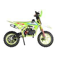 Moto tout-terrain miniature à essence pour enfants de 49 cm3, automatique, 2 temps, 2 roues, avec protection de guidon, roues en alliage, frein à disque, 40-60 km/h