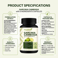 Capsules de Garcinia Cambogia Complex avec thé vert, curcuma, gingembre, poudre d'ail, complément alimentaire à base de plantes sans gluten et sans OGM