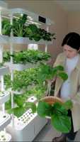 Jardinière hydroponique verticale intelligente personnalisable à plusieurs niveaux, arrosage motorisé, culture sans sol écologique, facile à utiliser pour la maison