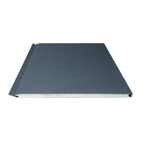 Panneau mural extérieur décoratif en mousse PU légère de 16 mm d'épaisseur pour maison conteneur