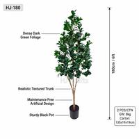 Arbre artificiel Pittosporum de 1,8 m (6 pieds) en gros, plante à petites feuilles artificielles pour la décoration de la maison, du bureau, du hall d'hôtel, du restaurant