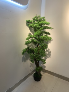 Collezione Designer: Albero <span class=keywords><strong>Bonsai</strong></span> <span class=keywords><strong>di</strong></span> Pino Artificiale |   <span class=keywords><strong>Bonsai</strong></span> Finto Fatto a Mano per Interni Contemporanei e Spazi Commerciali <span class=keywords><strong>di</strong></span> Lusso - Product Image 6