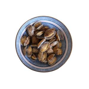 Vente directe en usine certifiée smc, vente en gros de palourdes fraîches et congelées pour bébés - Product Image 1