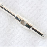 High Quality Advanced Level Piccolo ABS Cody Silver Plated Keys C Tone Nickel-silver Head Joint Piccolo Flute