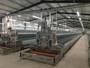 Allevamento di carne gabbia di allevamento di conigli con cintura di pulizia del letame commerciale - Product Image 5