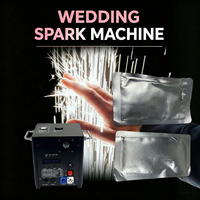 200g Titanpulver für Kaltfunkeneffektmaschinen – Spezialeffekt für Hochzeiten, Events, Partys und Gender-Reveal-Partys