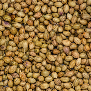 Graines de coriandre entières 100% naturelles de la nouvelle saison, origine Gujarat, Inde, qualité supérieure, durée de conservation de 12 mois - Product Image 1