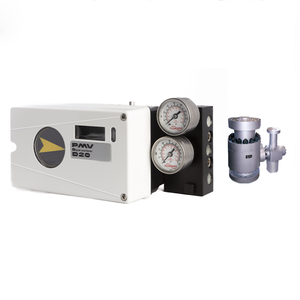 4-20 MA PMV D20 Industrial Digital con Shanghai Dianjian - Product Image 4