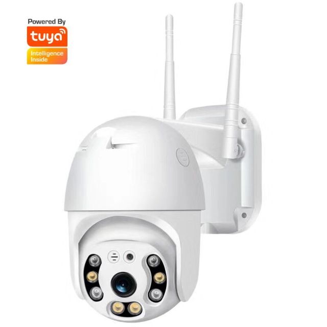 Smart Wifi Tuya App  Waterproof 1080P Camera Outdoor PTZ Speed Dome Wireless IP66 Camera CCTV Surveillance Colorful in Night