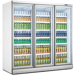 Réfrigérateur à boissons vertical avec porte en verre, 20 l, glacière à affichage Vertical pour magasin de détail