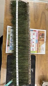 Tela de Encaje con Plumas de Pavo Real Hechas a Mano, Ecológicas, Ligeras y de Alta Calidad, Diseño de Moda para Vestidos de Noche, Disfraces de Escenario y Bodas - Product Image 4