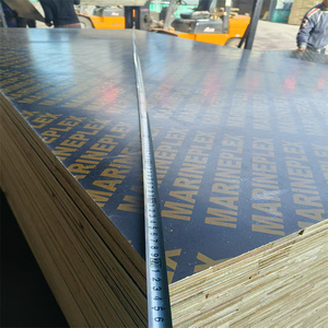<span class=keywords><strong>Panneau</strong></span> de <span class=keywords><strong>contreplaqué</strong></span> phénolique à film noir imperméable de 8 mm, 9 mm, 10 mm d'épaisseur pour usage de construction - Product Image 2