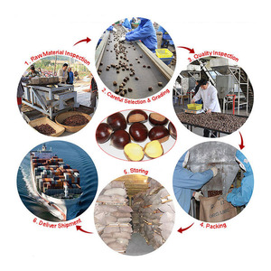 Castañas Frescas Orgánicas Crudas de Tamaño Pequeño de Beijing, China - Product Image 4