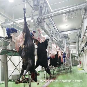 Máquina de limpieza de estómago de ganado vacuno y oveja/cabra, equipo de matadero, equipo de línea de sacrificio de ganado vacuno, lavadora de callos - Product Image 6