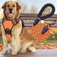Laisse Classique Amovible pour Chiens de Grande et Moyenne Taille en Polyester avec Conception Poitrine-Dos, Cheveux Droits, 5m