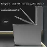WC monobloc en céramique de Chaozhou, à poser au sol, pour petits espaces, à siphon, double chasse, silencieux, anti-éclaboussures, anti-odeurs, idéal pour la maison