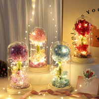 Lampu Hias Kaca Berbentuk Kubah dengan Bunga Hydrangea Awet Buatan Tangan Shangchu untuk Hadiah Hari Valentine dan Hari Ibu
