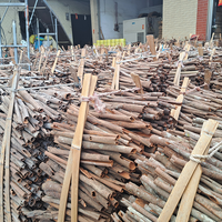 Origin Factory Gute Qualität Zimts tange Cassia Stick