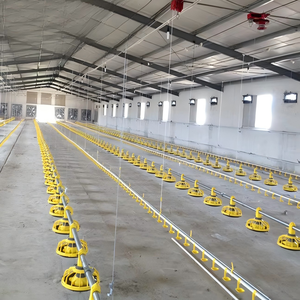 Maison d'Élevage de Poules Pondeuses Préfabriquée Économique pour 10000 Poulets en Afrique - Product Image 6