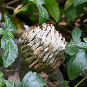 Balles tressées en paille pour animaux de compagnie, taille S, jouets à mâcher pour oiseaux, usage intérieur, motif uni, matériau en herbe, origine Fujian - Product Image 3