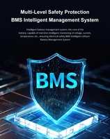 بطارية ليثيوم فوسفات الحديد (LiFePO4) مدمجة بنظام إدارة البطارية (BMS) مثبتة على الحائط بسعات 100 أمبير/ساعة، 200 أمبير/ساعة، 230 أمبير/ساعة، 300 أمبير/ساعة، 314 أمبير/ساعة، بجهد 25.6 فولت و 51.2 فولت، لتخزين الطاقة الشمسية، مع شاشة LCD ومعتمدة بمعيار CE.