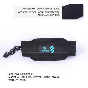 Özel Tasarım Çekme Ağırlık Kaldırma Dip Çalışma Kemeri Zincirli Squat Ağırlıklı Kemer - Product Image 2