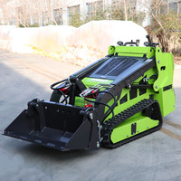 Mini-chargeuse compacte diesel économique pour travaux de terrassement, manutention et déneigement, à vendre