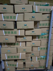 Cây trồng mới tươi gốc Rau diếp nhà máy giá thấp Măng Tây Rau diếp - Product Image 6