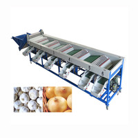 Automatische Professionele Pitaya Dragon Fruit Sorteermachine/Durian Sorteermachine/Sorteermachine Voor Fruit En Zeevruchten