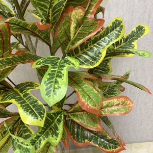 ต้นโครตันประดิษฐ์ ต้นโคเดียมวาเรียเกตัมปลอม ใบหลากสีสัน สำหรับตกแต่งบ้าน สำนักงาน ภายในอาคาร มีหลายขนาด - Product Image 6