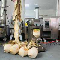 Machine d'épluchage de noix de coco de forme de diamant/machine de taille de noix de coco/jeune machine de déshabillage de noix de coco