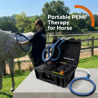 Appareil PEMF portable certifié CE pour la réparation musculaire du corps entier, amélioration des performances, machine de massage PEMF pour animaux destinée aux écuries.
