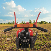 Désherbeur à doigts, cultivateur, mini-moissonneuse, faucheuse à maïs, tondeuse à gazon, équipement agricole, haute productivité, désherbage, moteur à engrenages 580 mm