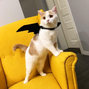 Mode Chat Vêtements Ailes <span class=keywords><strong>de</strong></span> Chauve-Souris Drôle Chien <span class=keywords><strong>Costume</strong></span> Aile Artificielle Animal Cosplay Prop Halloween Chat Chien <span class=keywords><strong>Costume</strong></span> - Product Image 2