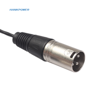 Câble blindé Mini XLR 3Pin Mini Xlr mâle vers XLR mâle Adaptateur de mélangeur de microphone 0.3m