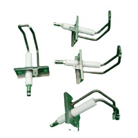 Vente Flash : Allumeur Électrique en Céramique pour Four à Gaz, 95% Porcelaine, Fil d'Électrode 4/1 NPT, Bougie d'Allumage